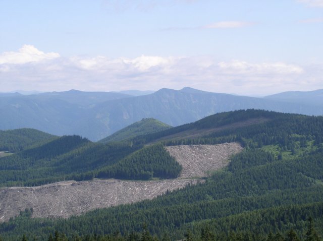 6.10.06 Table Mtn_3CR 166 